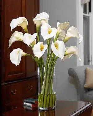Artificial Plants